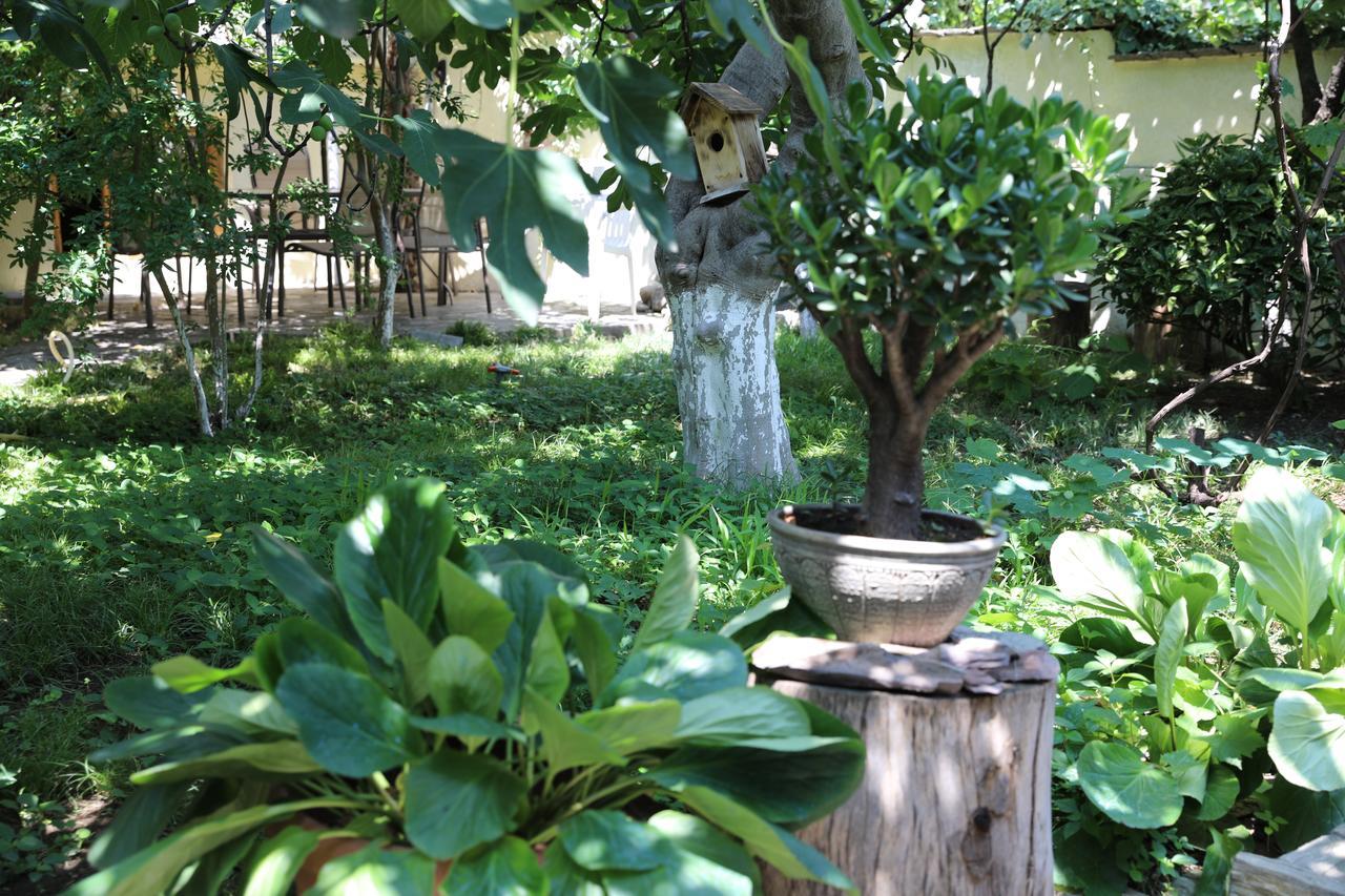 4Bd Appartaments With Cozy Garden ティビリシ エクステリア 写真